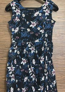 Floral Print Fit &amp; Flare Dress