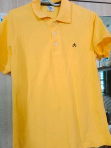 New Polo Neck Cotton Shirt for Men, Pack of 1