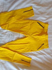 Bright Yellow Slim Fit Pants