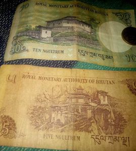 Bhutan 2  notes and  Nepal coin