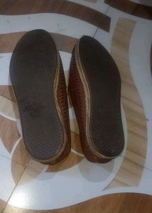 Toms Bellies