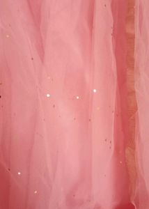 Stunning Peach Lehenga Choli