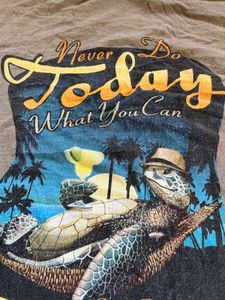 San Juan Turtle Graphic Tee