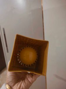 Toilet Brush