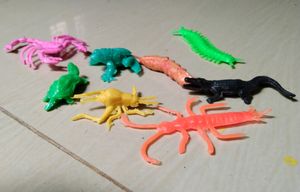 Animals For Projects