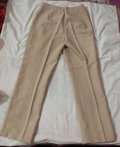 Beige Straight Formal pants