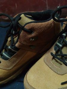 Attractive Men Shoes Of Shree leathers