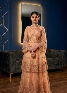 Peach Net Gown