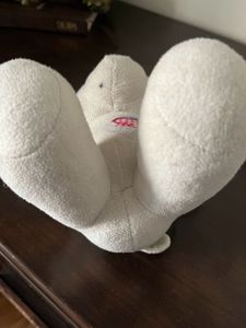 Imported  Soft Toy Teddy