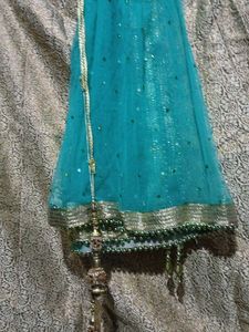 Elegant Lehenga Choli Set