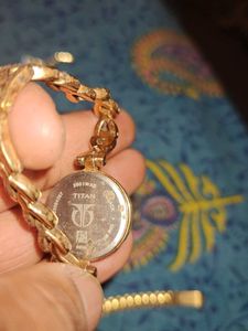 Collection of Women's Watches