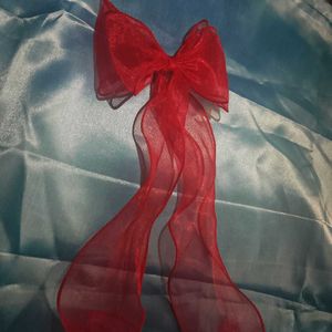 Cute Red Hair Bow 🎀