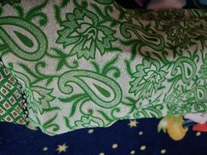 Green Paisley Print Saree