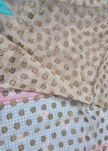 Elegant Beige Saree with Teal Border