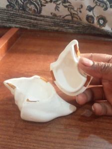 Conch trinket box