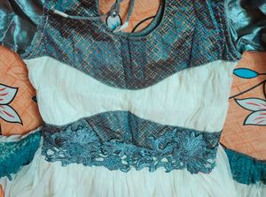 Elegant Embroidered Dress