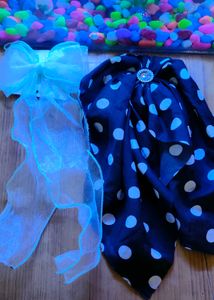 Bow Clip And Rubber Band