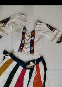 Embroidered Lehenga Choli Set