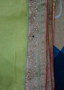 Designer Saree with Embellished Border