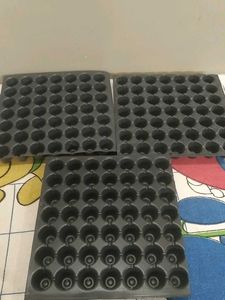 Seedling Trays - Pack of 3
