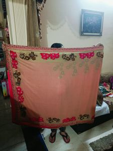 Beautiful Pink Saree with Embellished Blouse