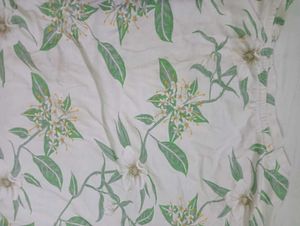 Women's Floral Print Top