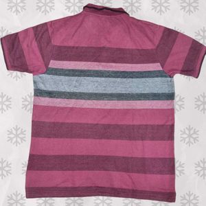 Striped Maroon Polo Shirt