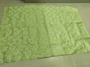 Elegant Lime Green Embroidered Dupatta