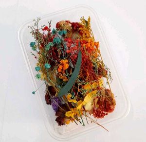 Dry Flower Box