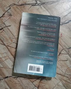 The Perfect Girlfriend by Karen Hamilton