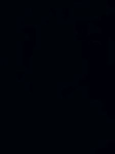 Test T1