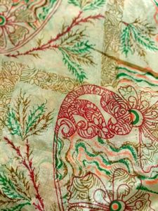 Organza Saree