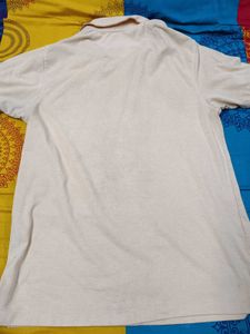 Men's Polo T Shirt