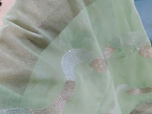 Pista Saree with Beautiful Sequence Work