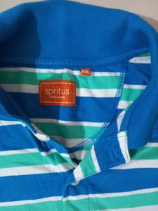 Blue Stripes T Shirt For Men