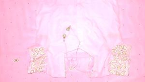 Elegant Pink Saree with Blouse
