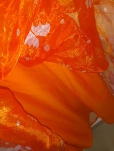 Floral Organza Midi Dress