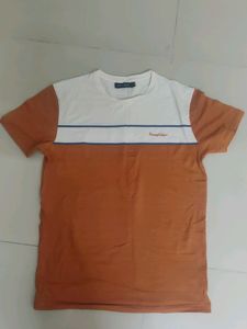 tommy Hilfiger t shirt