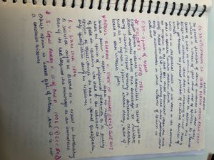 evidence law notes (BSA)