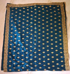 Elegant Teal Saree with Gold Embroidery