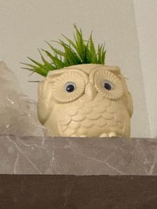 Cute Owl Planter Pots Set of 2