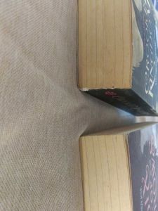 Six of Crows &amp; Crooked Kingdom Duology