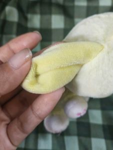 SALE ❗sanrio pompompurin small plushie keycharm