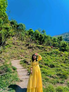 Yellow Ethnic Gown