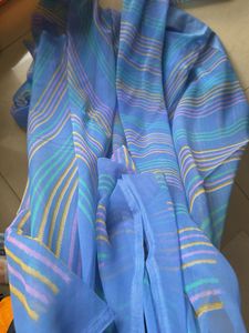 Blue Striped Saree
