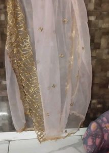 Embellished Net Dupatta