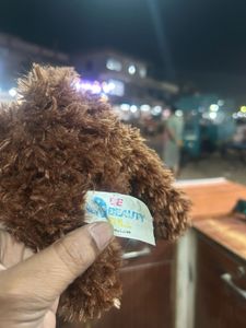 Cute Brown Teddy Bear