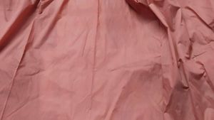 Elegant Pink Saree with Gold Border