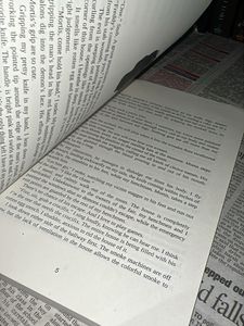 Satan's Affair by H.D. Carlton