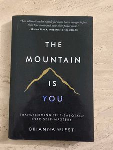 The Mountain Is You Book